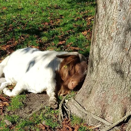Hof Zur Steinwaend Bed and breakfast