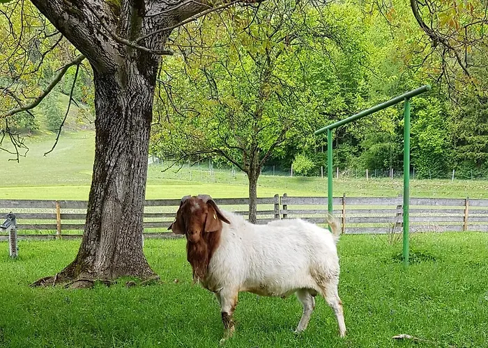 Hof Zur Steinwaend 3*