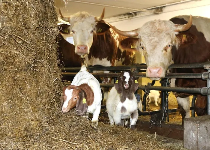 Hof Zur Steinwaend 3* Micheldorf in Oberösterreich